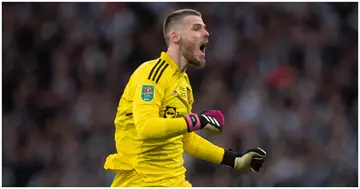 Manchester United, David de Gea, Carabao Cup Final, Newcastle United, Wembley Stadium, Peter Schmeichel.