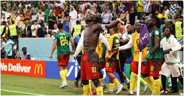 Vincent Aboubakar, Cameroon, World Cup 2022, Brazil