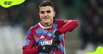 Where is Elyounoussi originally from?