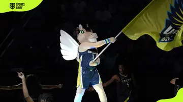 Dallas Wings' mascot, Lightning