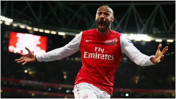 Thierry Henry celebrates scoring during the FA Cup Third Round match between Arsenal and Leeds United at the Emirates Stadium. Photo by Clive Mason.