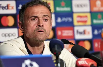 Paris Saint Germain boss Luis Enrique