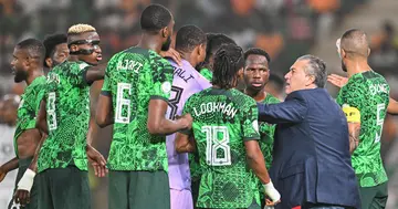 Nigeria, AFCON, CAF, Super Eagles, Jose Peseiro, Coach
