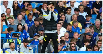 Thomas Tuchel shouts instructions to his team from the technical area during the Premier League match between Chelsea and Wolves at Stamford Bridge. Photo by Craig Mercer.