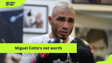 Miguel Cotto Net Worth