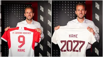 Harry Kane, PSG, Bayern Munich, Premier League, Ange Postecoglou, Daniel LevyTottenham Hotspur, Ange