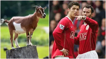 Cristiano Ronaldo, Manchester United, legend, greatest footballer of all time, GOAT