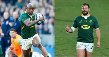 Springboks out muscle and outthink the Scottish in bruising rugby match