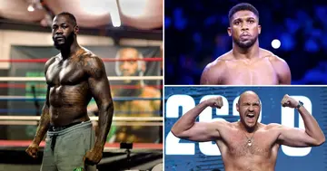 Anthony Joshua, Boxing, World, Francis Ngannou, Deontay Wilder, Tyson Fury, Oleksandr Usyk