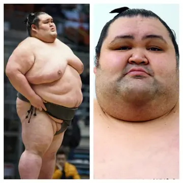 How big is the biggest sumo wrestler?