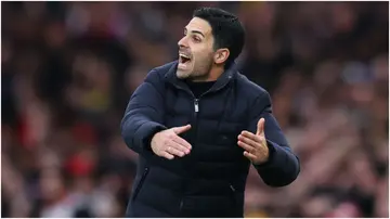 Mikel Arteta shouts instructions during the Premier League match between Arsenal and Leicester City at Emirates Stadium. Photo by Catherine Ivill.