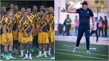 Kaizer Chiefs, Nasreddine Nabi, AS FAR Rabat, PSL, Kaizer Motaung