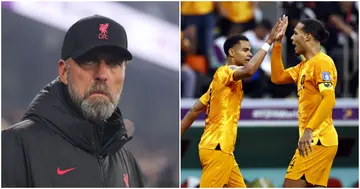 Jurgen Klopp, Cody Gakpo, Virgil van Dijk, Liverpool, PSV, Netherlands, World Cup.