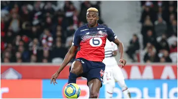 Victor Osimhen, Lille, Rennes, Ligue 1, France.