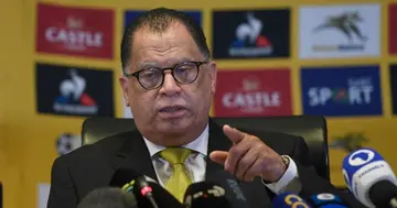 SAFA President, Danny Jordaan, Trouble, Under Fire, Changes, Constitution, Sport, South Africa