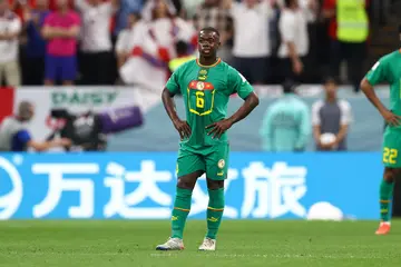 Nampalys Mendy, Edouard Mendy, Senegal, England, 2022 World Cup