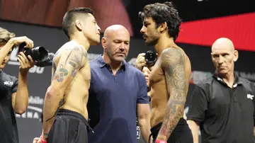 Brandon Moreno, Alexandre Pantoja, UFC 290, UFC