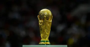 The World Cup trophy pictured during the 2018 FIFA World Cup Russia final between France and Croatia at Luzhniki Stadium. Photo by David Ramos.