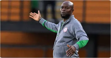 Finidi George has reportedly resigned as the Super Eagles head coach after two poor results in the World Cup qualifiers. Photo: Issouf Sanogo.