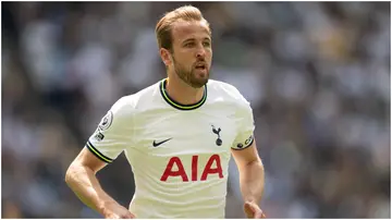 Harry Kane, Tottenham, Brentford, Tottenham Hotspur Stadium, Premier League.