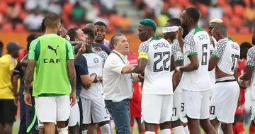 Nigeria, Jose Peseiro, AFCON, Super Eagles, CAF