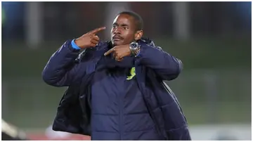 Mamelodi Sundowns head coach, Rulani Mokwena. Photo: TFG SportsClub.