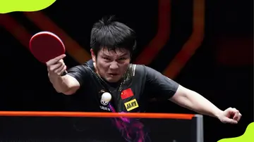 Why is Fan Zhendong called Little Fatty?