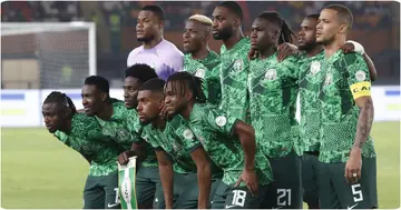 Nigeria, Super Eagles, NFF, Squad, Team, Finidi George, Nathan Tella.