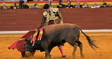 bullfighting techniques
