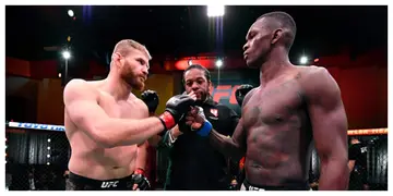 Israel Adesanya vs Jan Blachowicz for the UFC light heavyweight championship
