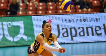 Volleyball positions