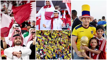 fans, Ecuador, Al Bayt Stadium, Al Khor, Qatar, World Cup, FIFA World Cup