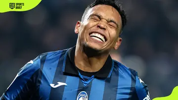 Luis Muriel of Atalanta reacts during a match