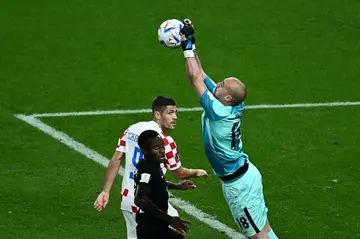 Canada's goalkeeper Milan Borjan received abuse by the Croatian fans over his Serbian roots