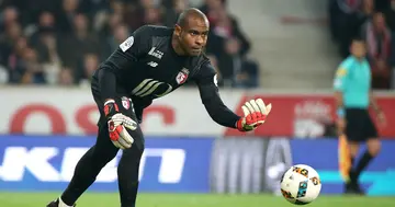 Vincent Enyeama, Lille, Ligue 1, Marseille, Nigeria, Duke Udi