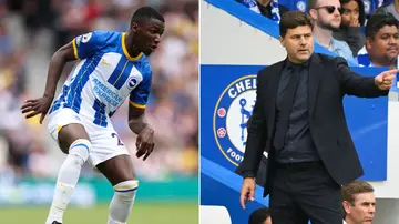 Moises Caicedo, Chelsea, Liverpool, Mauricio Pochettino, Jurgen Klopp, Brighton, Premier League