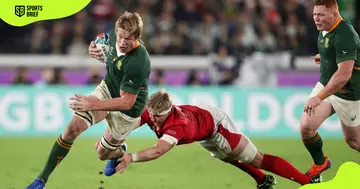 South Africa's Pieter-Steph Du Toit (l) in action