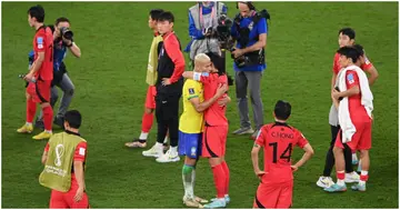 Richarlison, Heung-min Son, Tottenham Hotspur, Brazil, South Korea, World Cup