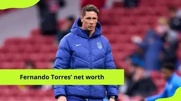 Fernando Torres' net worth