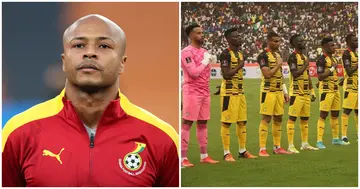 Andre Ayew, Ghana, Black Stars, 2022 World Cup, Qatar World Cup