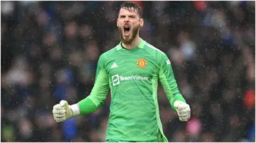 David De Gea celebrates during the Premier League match between Leeds United and Manchester United at Elland Road. Photo by Shaun Botterill.