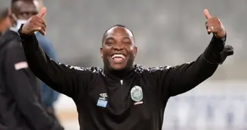 Mamelodi Sundowns, Marumo Gallants, Amazulu, Sport, Soccer, Benni McCarthy