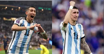 Angel Di Maria, Argentina, Copa America, Benfica