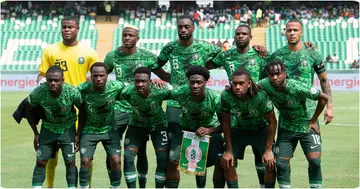 Nigeria, Super Eagles, CAF, Coach, AFCON, Jose Peseiro, NFF
