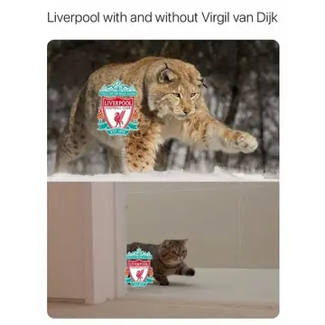 Funny football memes