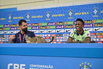 Vinicius Junior, Brazil, South Korea, Croatia, 2022 World Cup