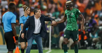 AFCON, Nigeria, CAF, Super Eagles, Victor Osimhen, Jose Peseiro
