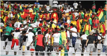 Guinea fans celebrate after their AFCON 2023 victory over the Gambia in Yamoussoukro.