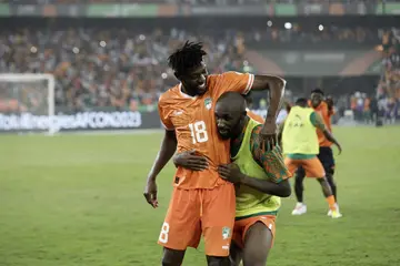 Nigeria vs Ivory Coast, Emerse Fae, Jose Peseiro, AFCON 2023 final