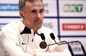 Paris Saint-Germain manager Luis Enrique